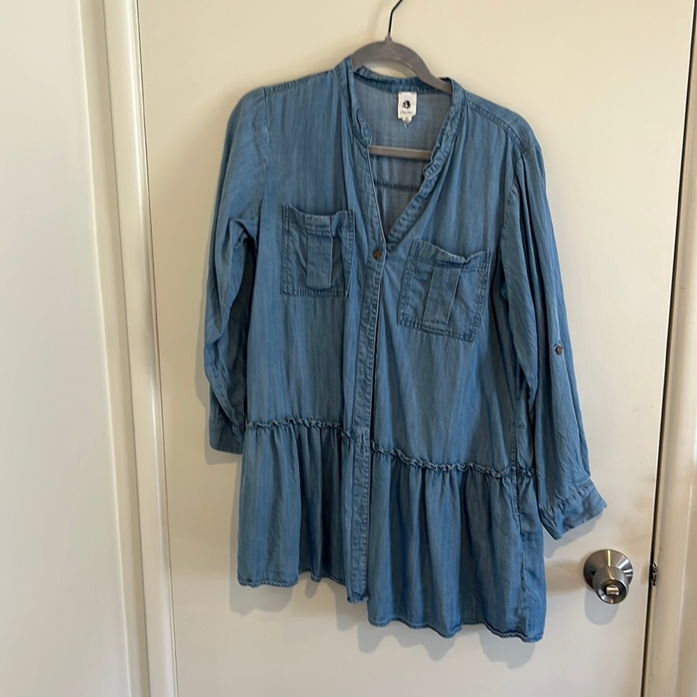 Denim long sleeved dress